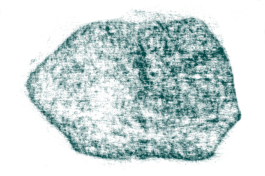  Compagnie L'entre deux mondes