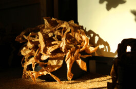 Compagnie L'entre deux mondes