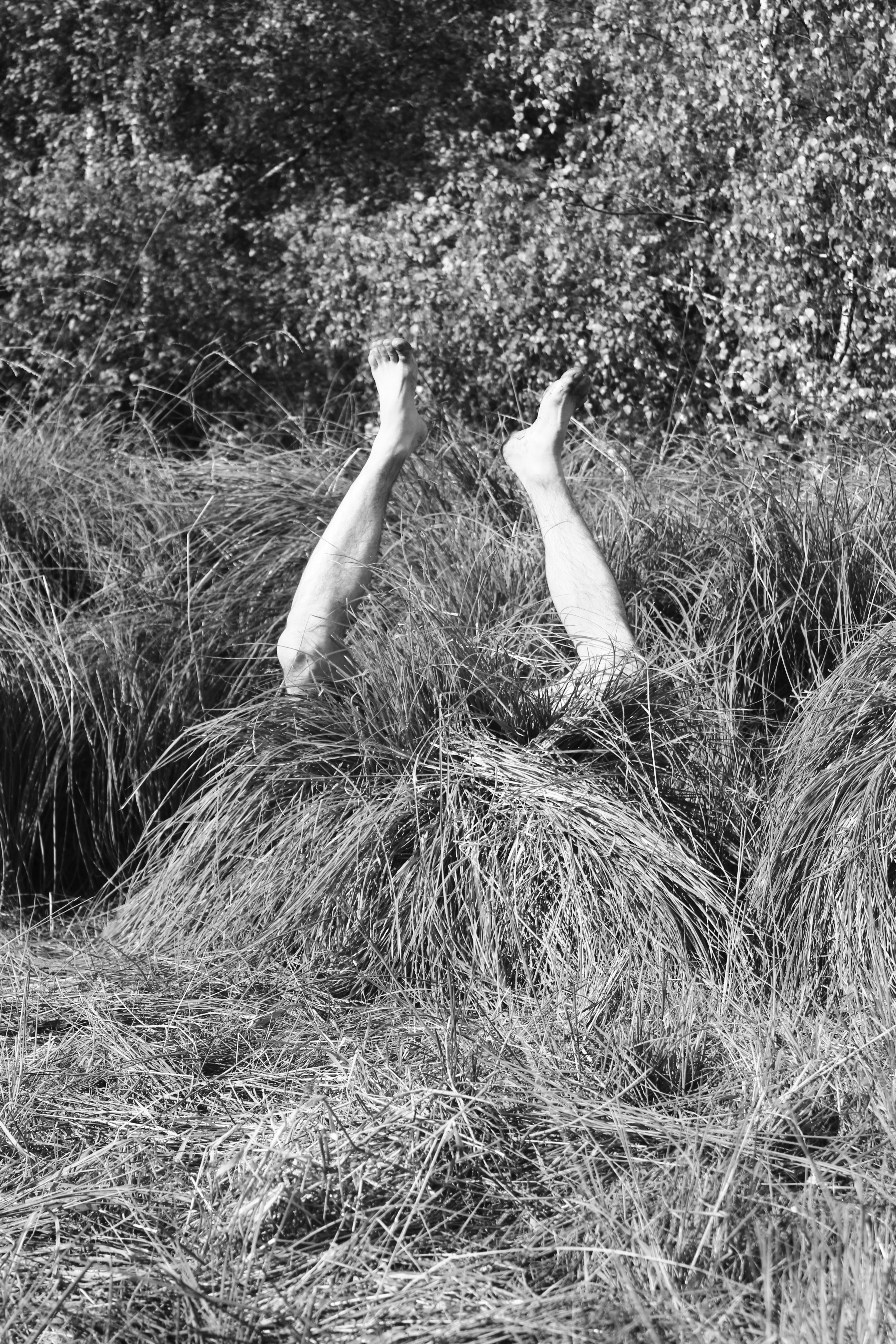 Compagnie L'entre deux mondes