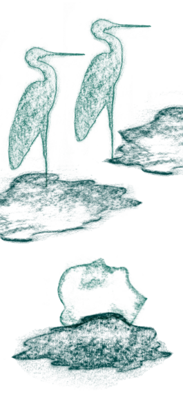 Compagnie L'entre deux mondes