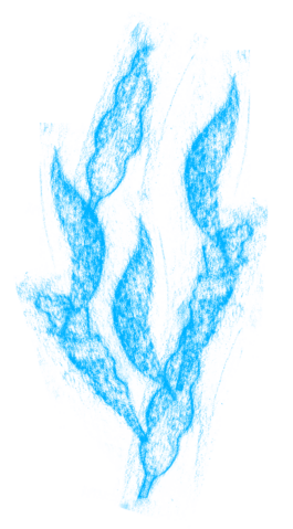 Compagnie L'entre deux mondes