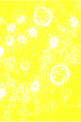 Compagnie L'entre deux mondes