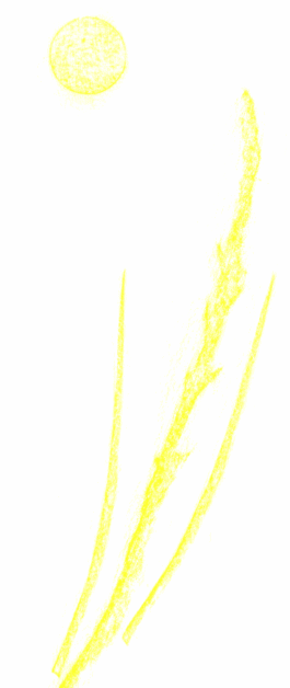 Compagnie L'entre deux mondes