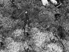 Compagnie L'entre deux mondes