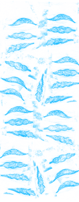 Compagnie L'entre deux mondes