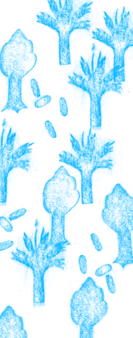 Compagnie L'entre deux mondes