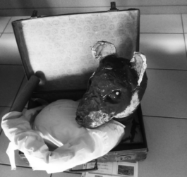 Compagnie L'entre deux mondes