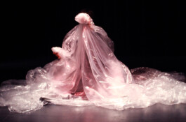 Compagnie L'entre deux mondes