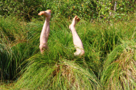 Compagnie L'entre deux mondes