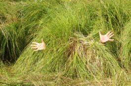 Compagnie L'entre deux mondes