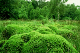 Compagnie L'entre deux mondes