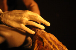 Compagnie L'entre deux mondes