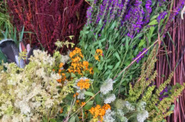 Compagnie L'entre deux mondes