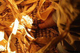 Compagnie L'entre deux mondes