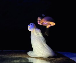 Compagnie L'entre deux mondes