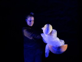 Compagnie L'entre deux mondes