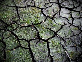 Compagnie L'entre deux mondes