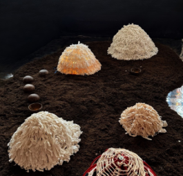 Compagnie L'entre deux mondes